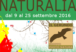 Mostra Naturalia