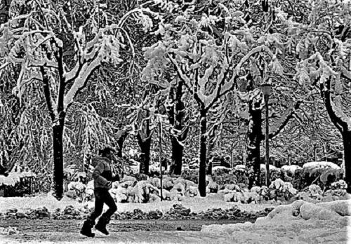 Neve