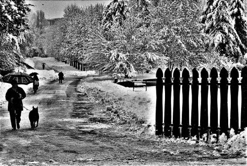 Inverno Isola Carolina