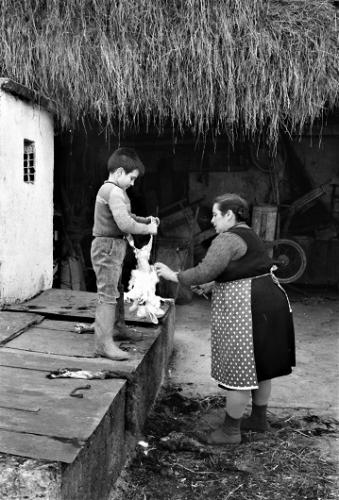 La vittima anni '60 in cascina